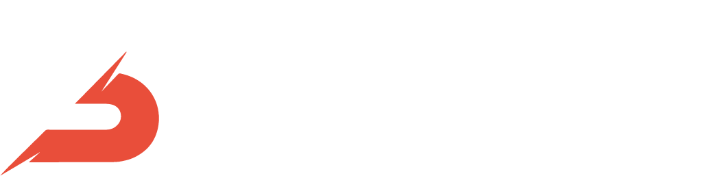 Coachsystem